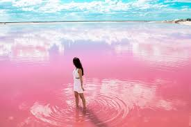 ✨OCTOBRE ROSE