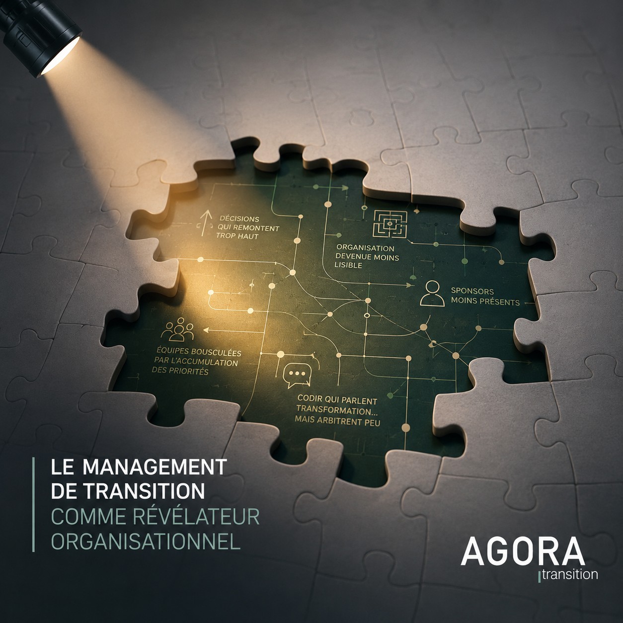 🔎Le management de transition comme révélateur organisationnel